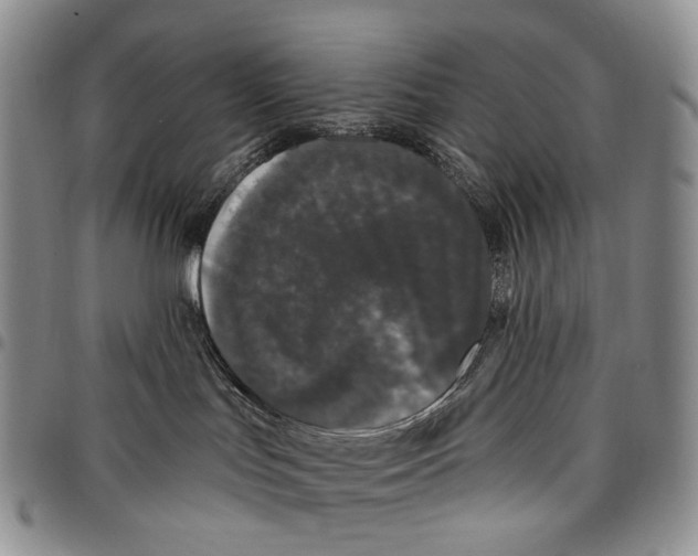 X0000097990047200804141153