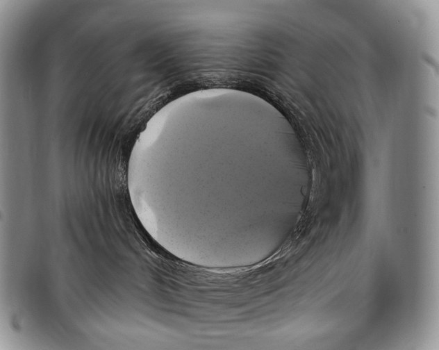 X0000097990048200804141153