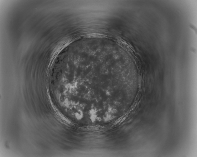 X0000097990049200804141152