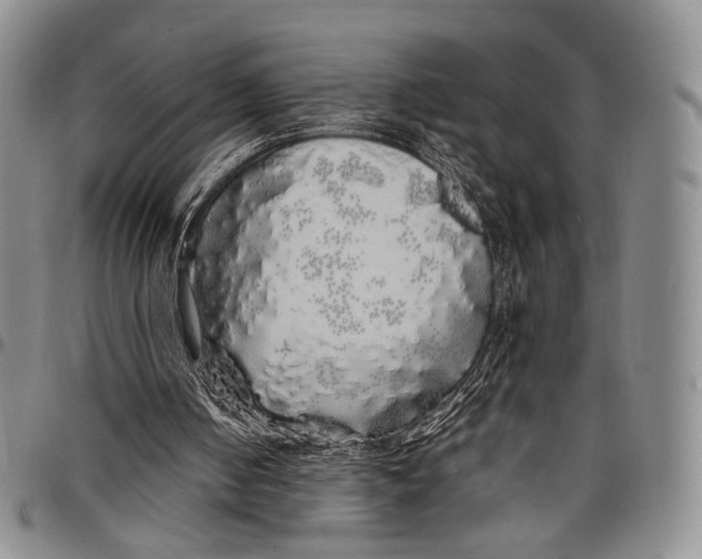 X0000097990050200804141152