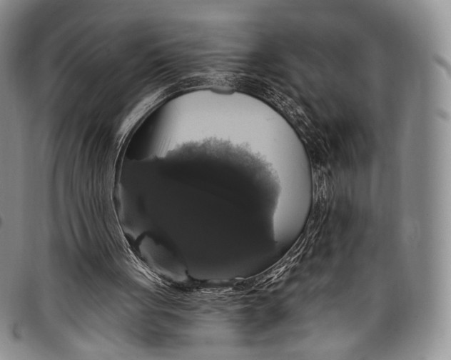 X0000097990051200804141152