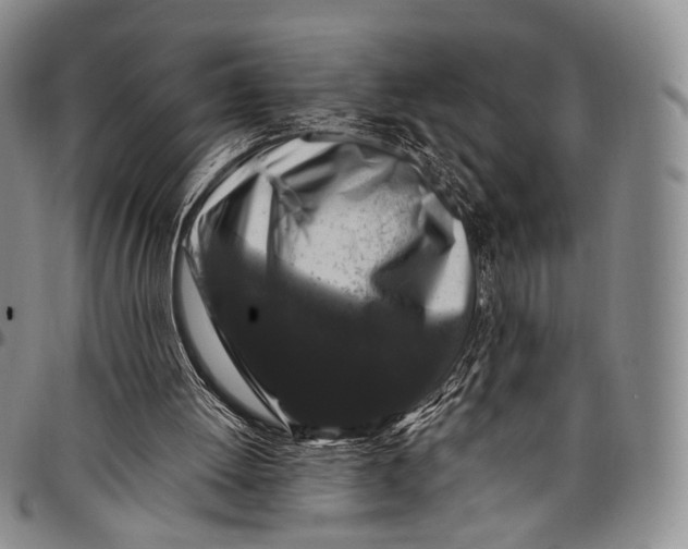 X0000097990052200804141152