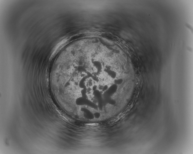 X0000097990053200804141152