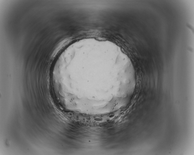 X0000097990054200804141152