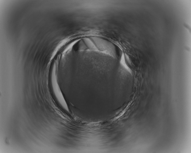 X0000097990056200804141152