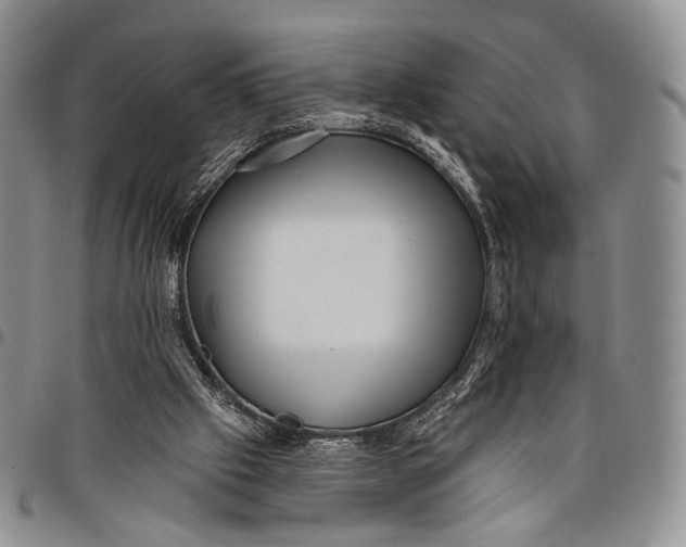 X0000097990057200804141152