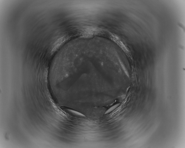 X0000097990058200804141152