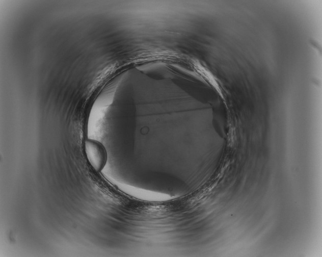 X0000097990059200804141152