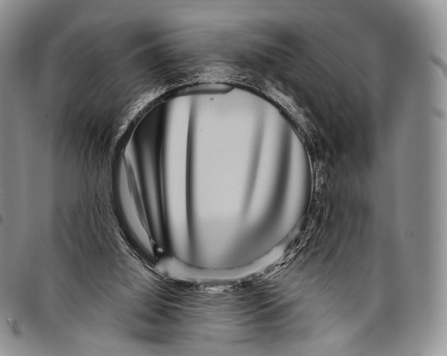 X0000097990060200804141152