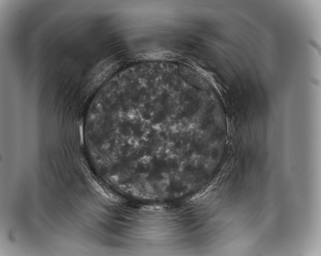 X0000097990061200804141152