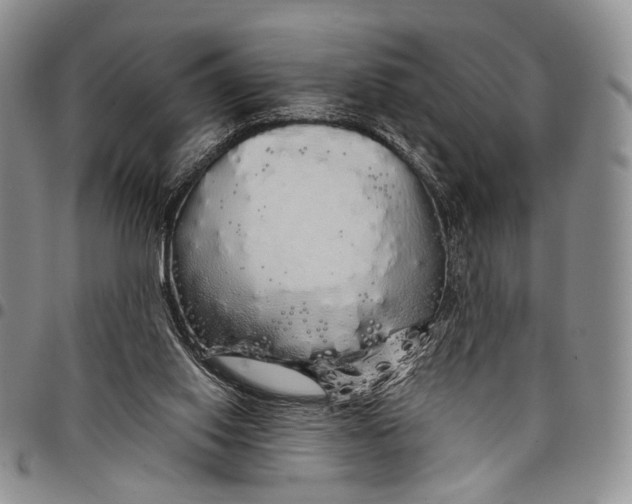 X0000097990062200804141152