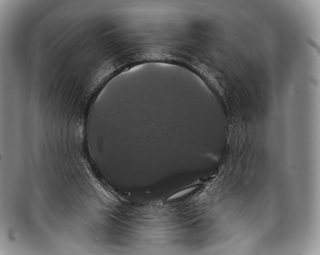 X0000097990063200804141152