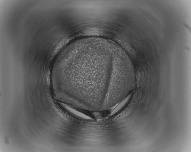 X0000097990064200804141152