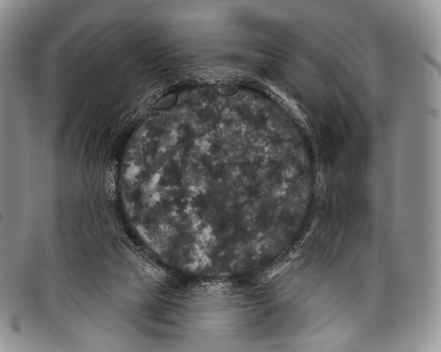 X0000097990065200804141152