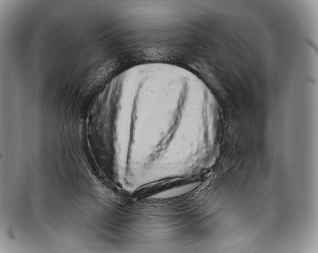 X0000097990066200804141152