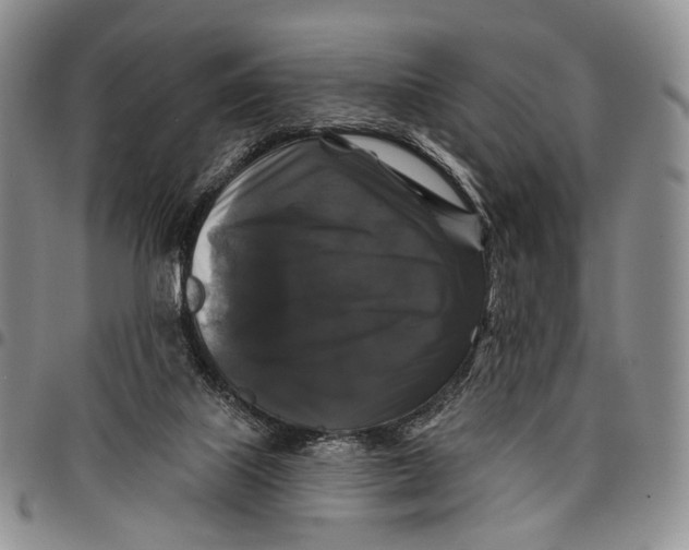 X0000097990067200804141152