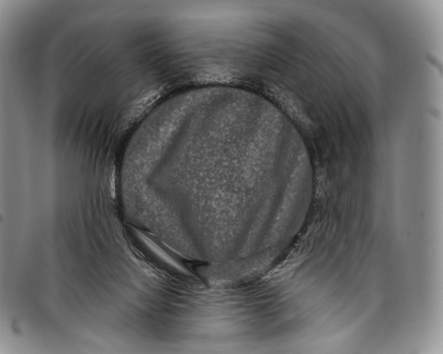 X0000097990068200804141152