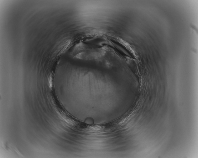 X0000097990069200804141152