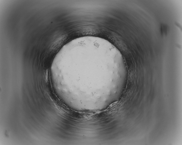 X0000097990070200804141152