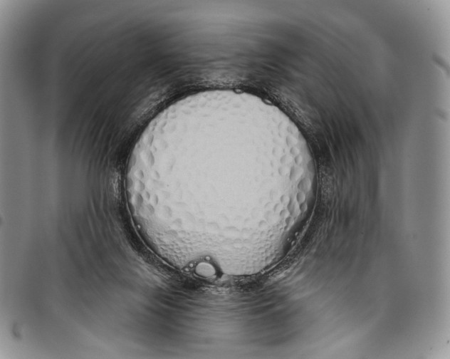 X0000097990071200804141152