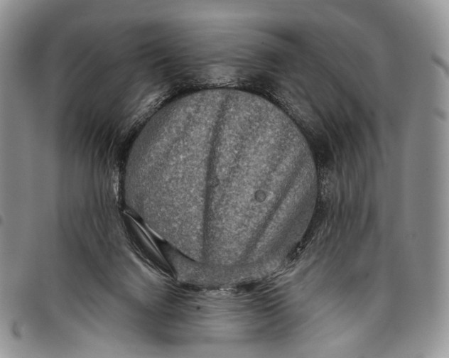 X0000097990072200804141152