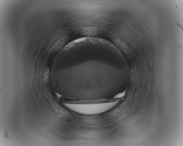 X0000097990073200804141152