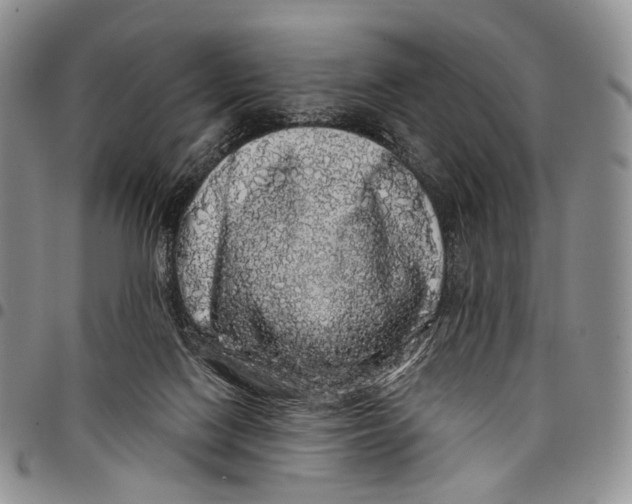 X0000097990074200804141152