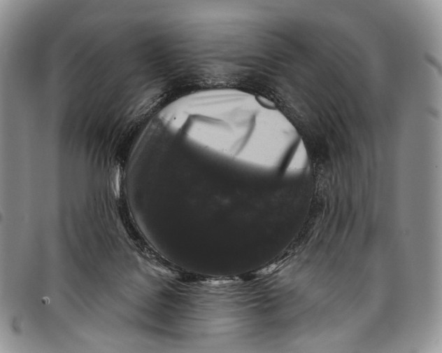 X0000097990076200804141152