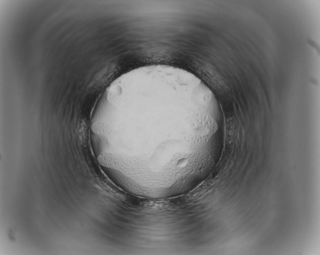 X0000097990077200804141152