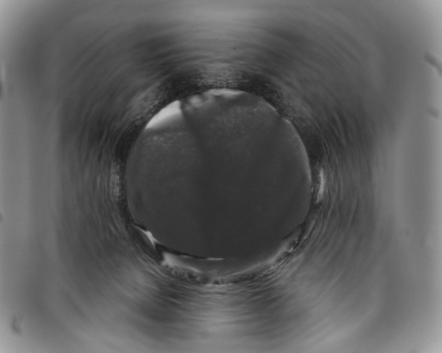 X0000097990080200804141152