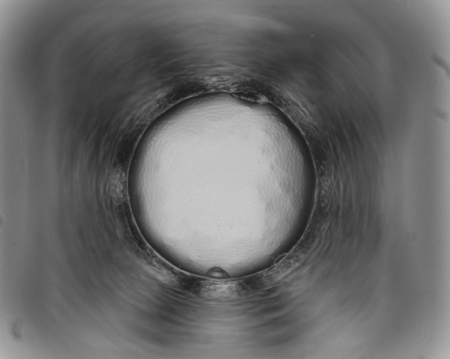 X0000097990081200804141152