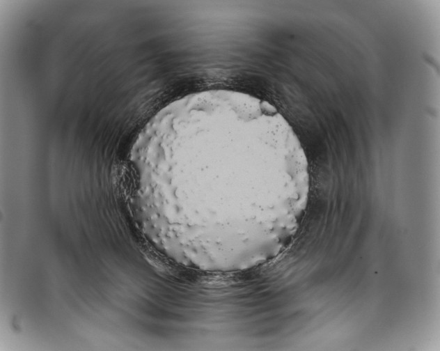 X0000097990082200804141152