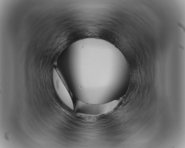 X0000097990084200804141152