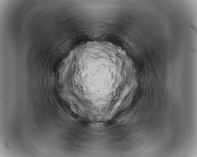 X0000097990085200804141152