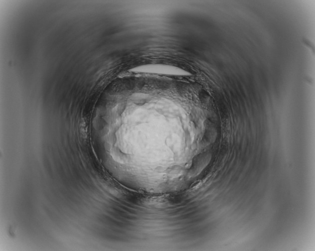 X0000097990086200804141152