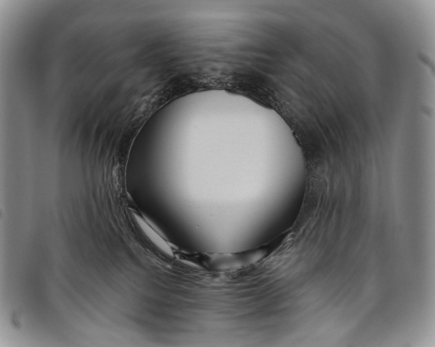 X0000097990088200804141152