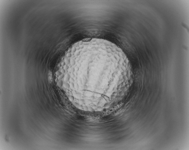 X0000097990089200804141152