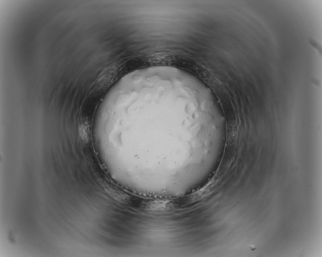 X0000097990090200804141152