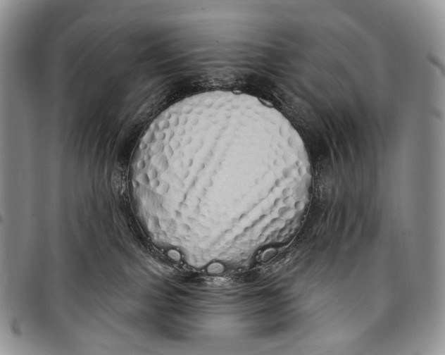 X0000097990091200804141152