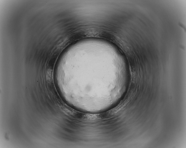 X0000097990093200804141152