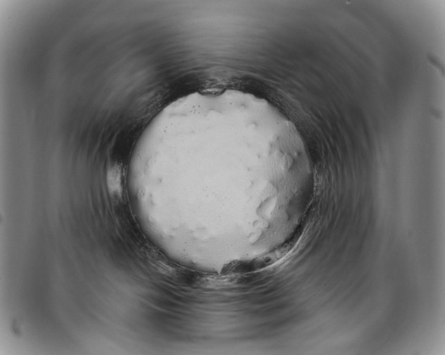 X0000097990094200804141153