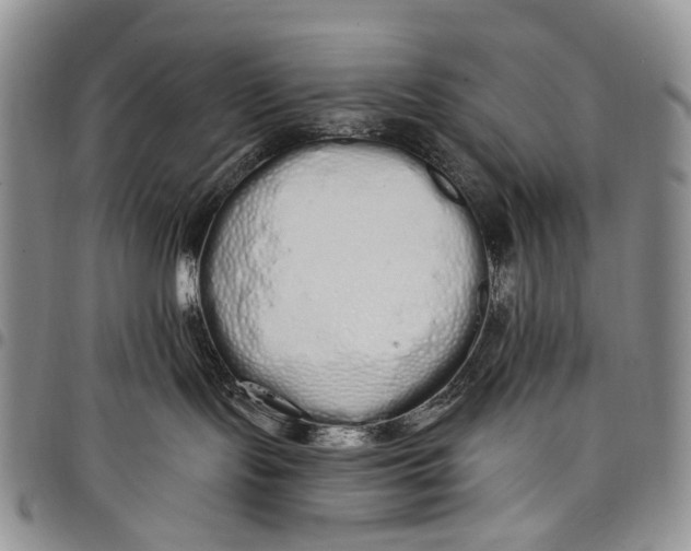 X0000097990095200804141153