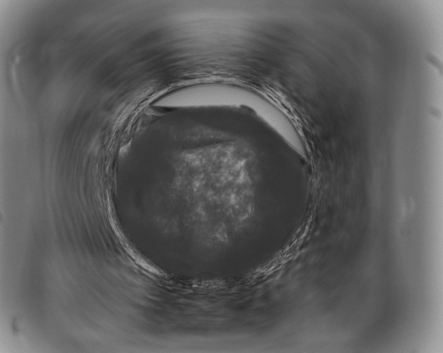 X0000097990097200804141152