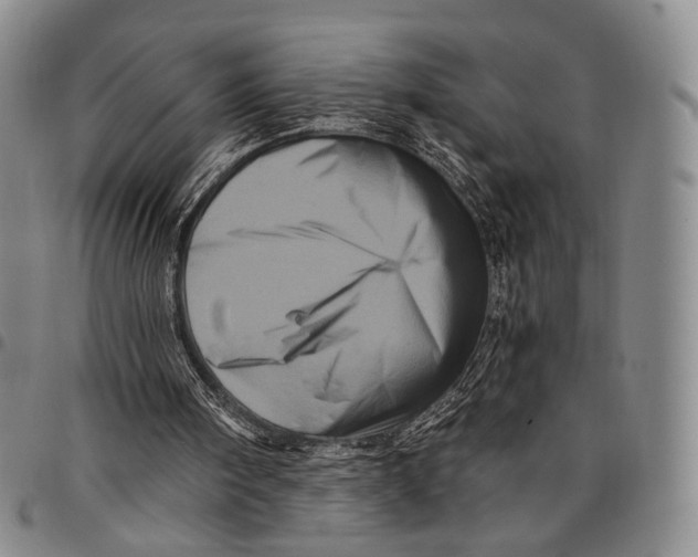 X0000097990098200804141152