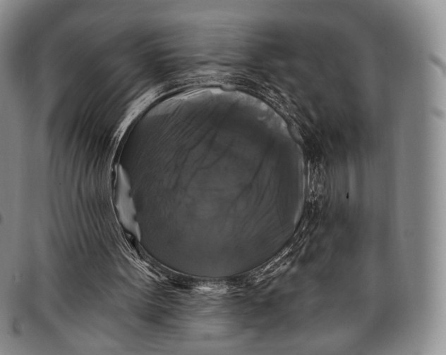 X0000097990099200804141152