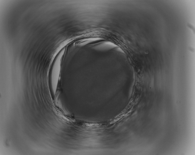 X0000097990100200804141152