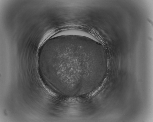 X0000097990101200804141151