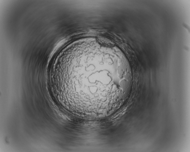 X0000097990102200804141151