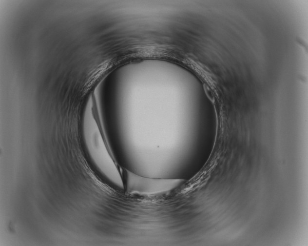 X0000097990105200804141151