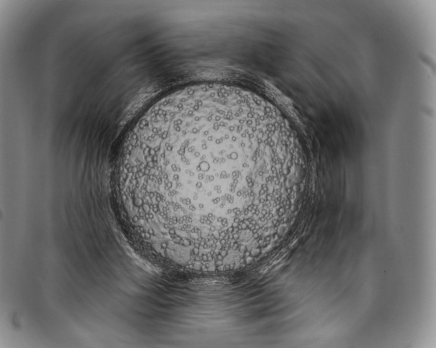 X0000097990106200804141151